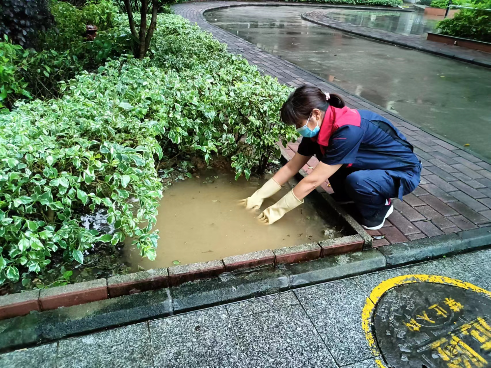 图一.jpg